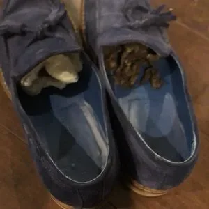 Peter Millar | Shoes | Peter Millar Suede Tassle Loafer Blue  display picture 1